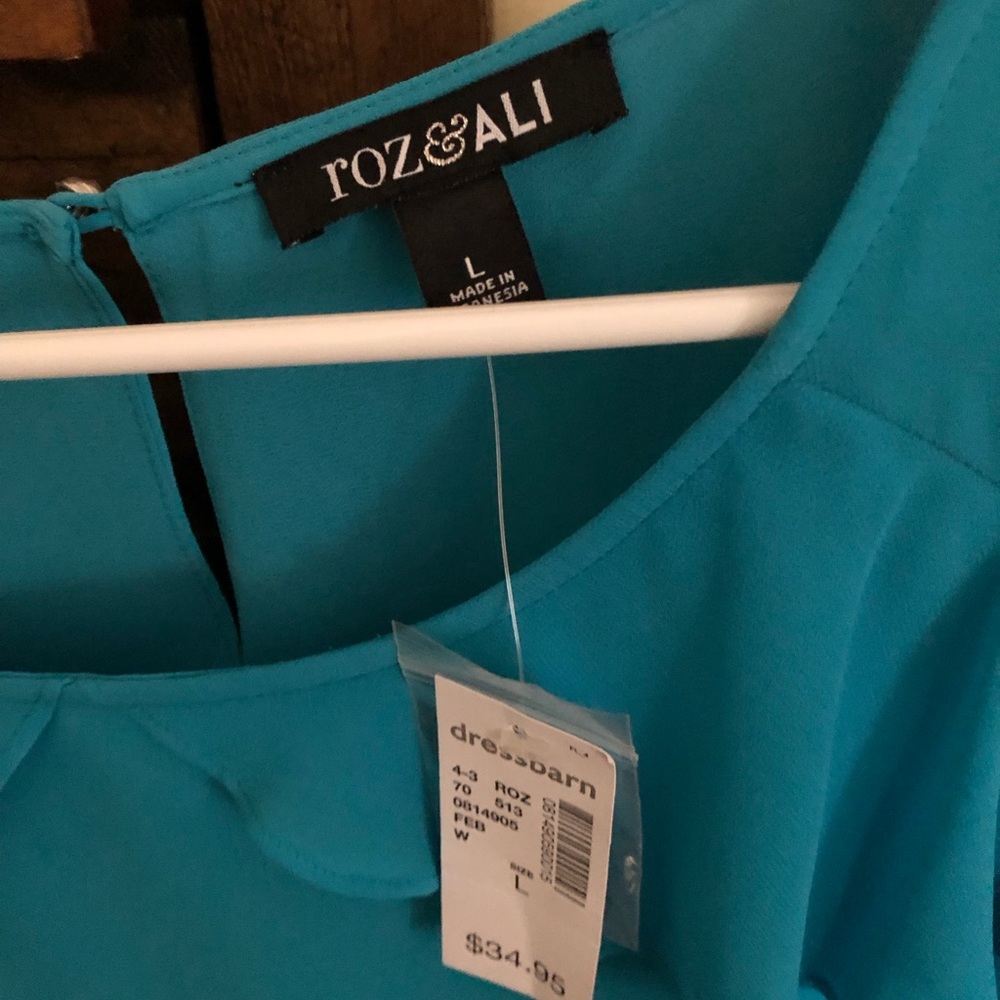 Teal blouse